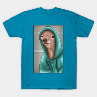 A Drawing For A Funny Dog ( Meme ) T-Shirt